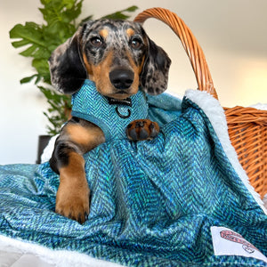 Dog Blanket - Country Teal