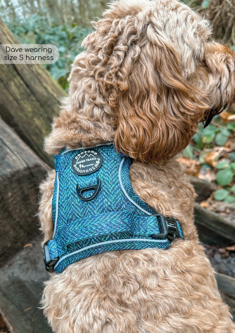 Tough Trails™ Harness - Country Teal
