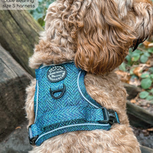 Tough Trails™ Harness - Country Teal