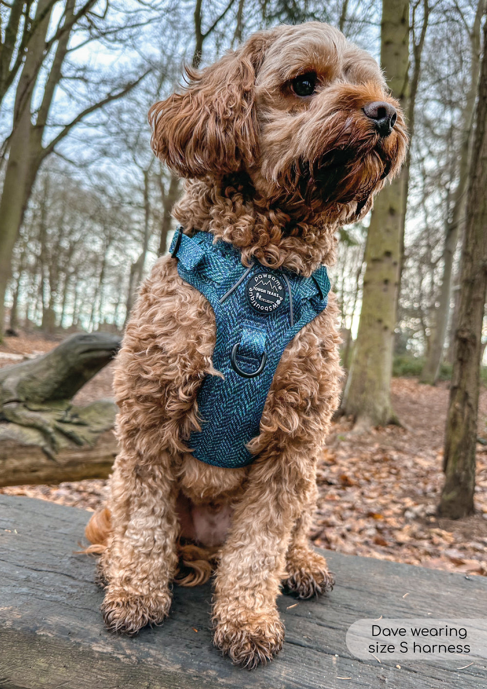Tough Trails™ Harness - Country Teal