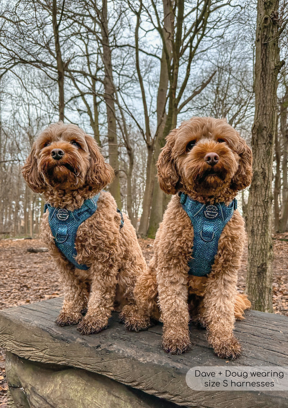 Tough Trails™ Harness - Country Teal