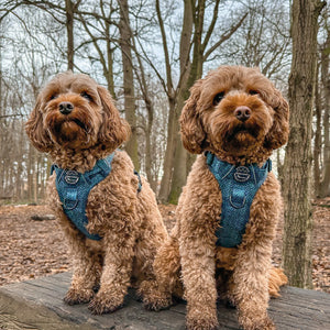 Tough Trails™ Harness - Country Teal