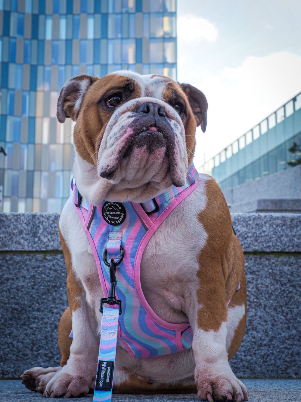 Lead - PPB Pastel Swirl