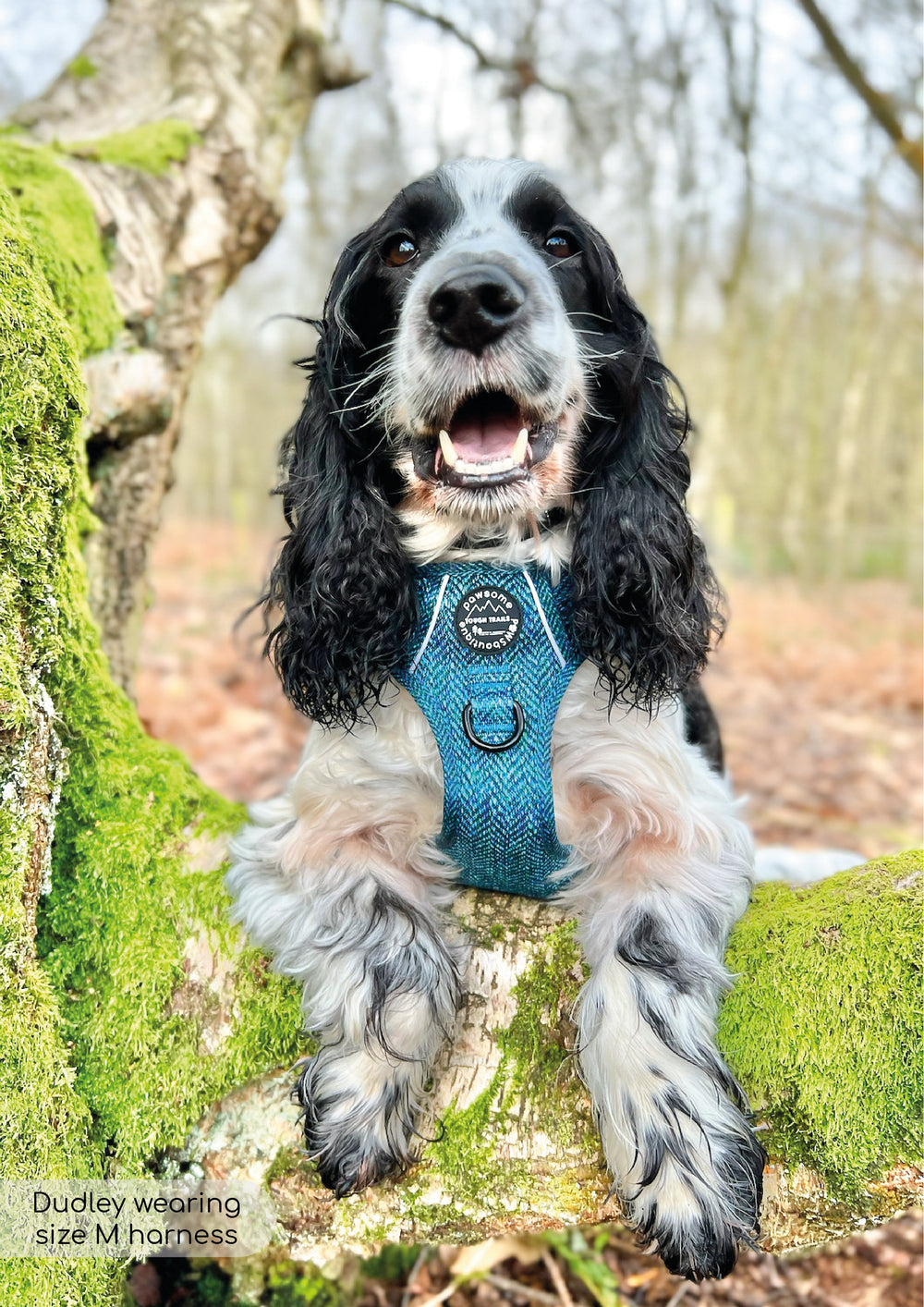 Tough Trails™ Harness - Country Teal
