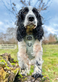 Tough Trails™ Harness - Country Thyme