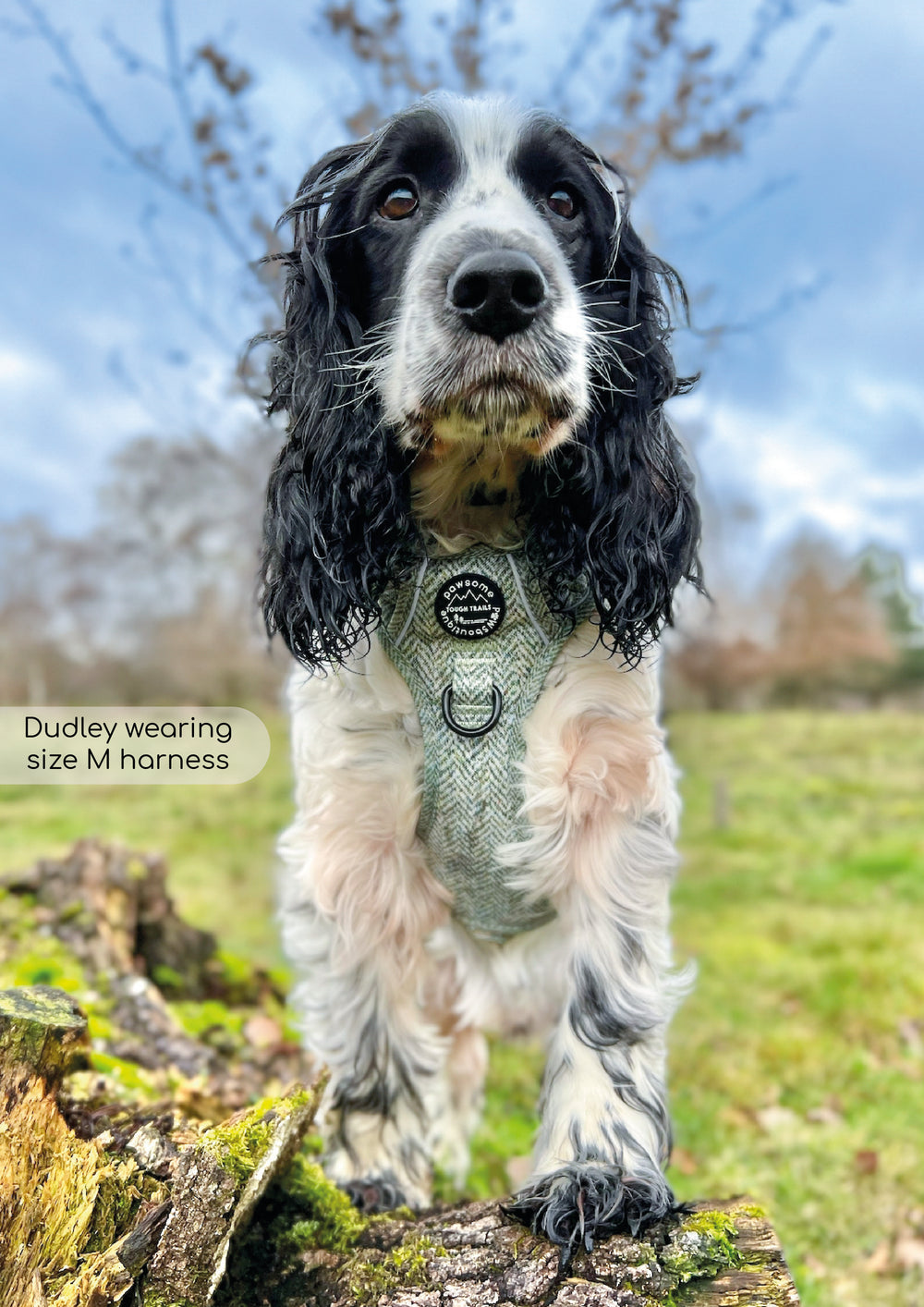 Tough Trails™ Harness - Country Thyme