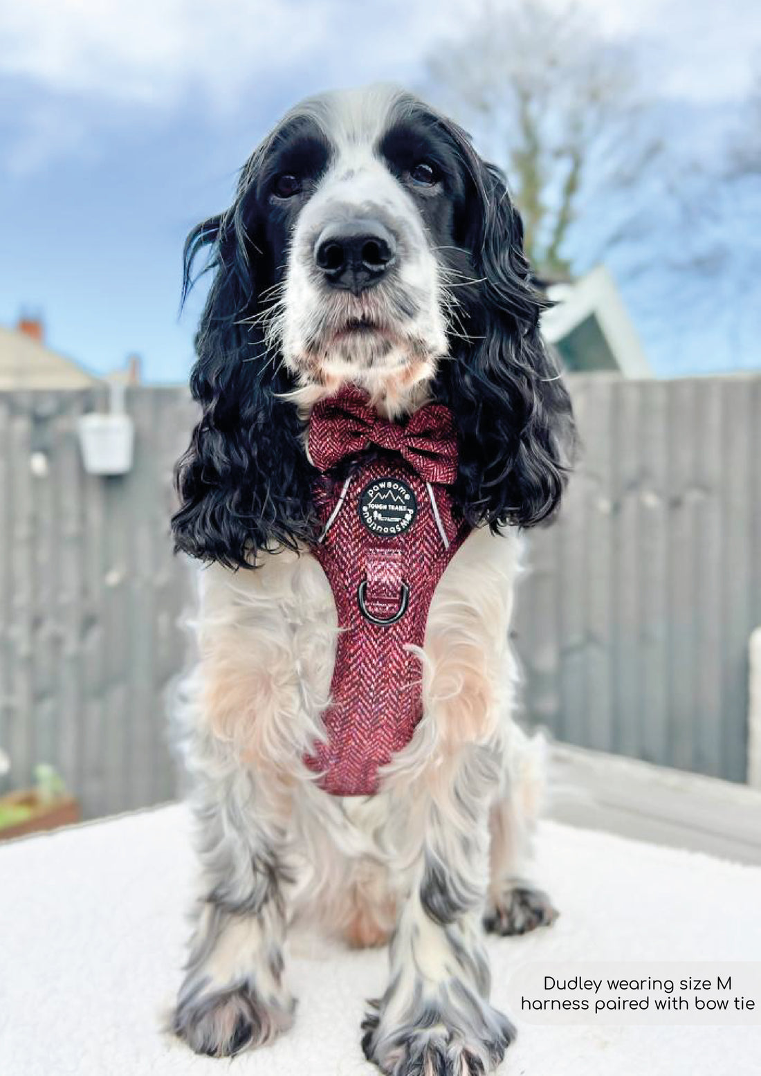 Bow Tie - Country Burgundy