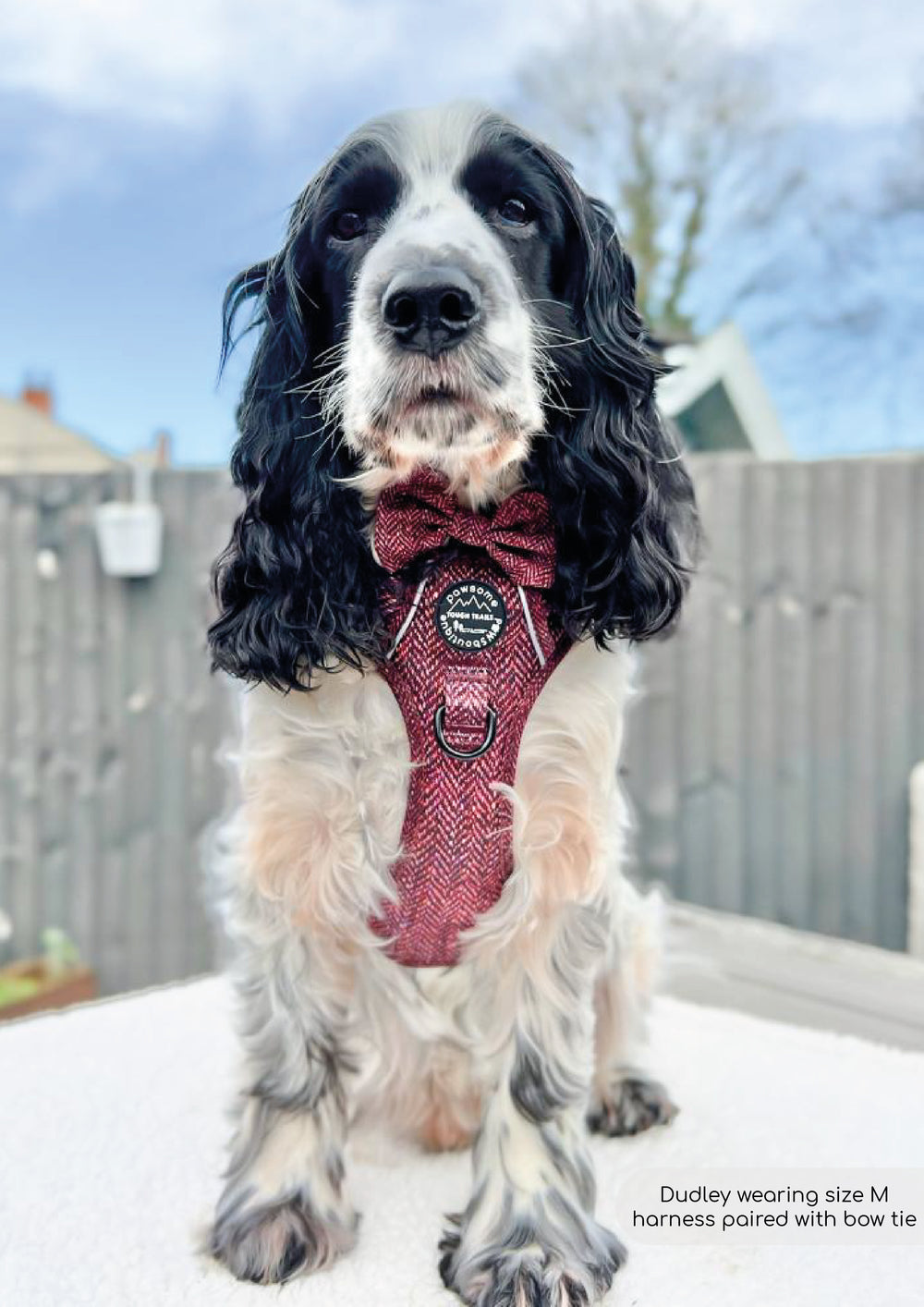 Bow Tie - Country Burgundy