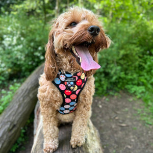 Adjustable Harness – Be Happy - Charity Collection