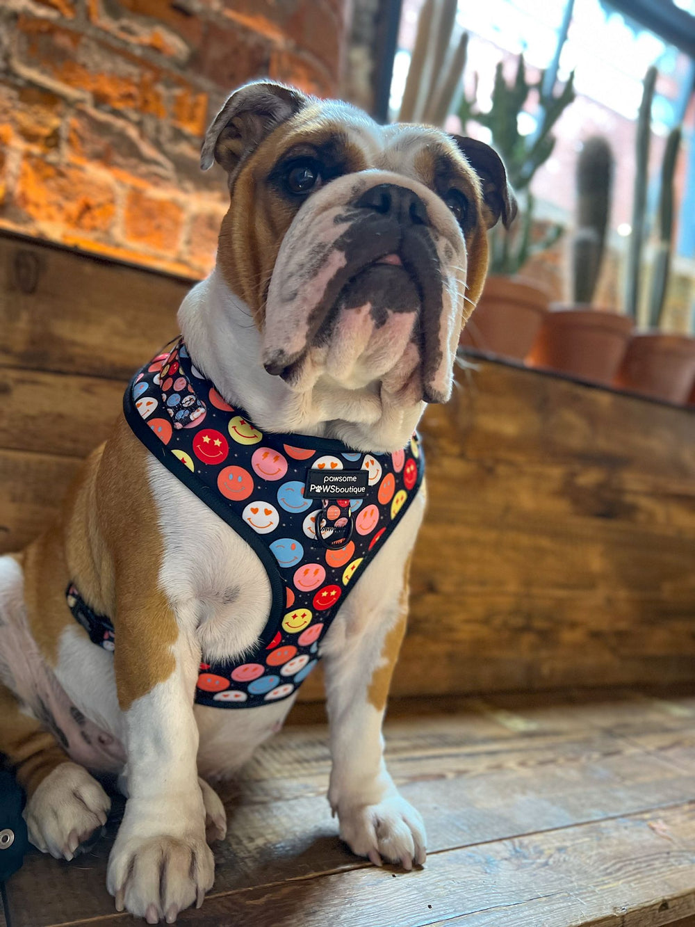 Adjustable Harness – Be Happy - Charity Collection