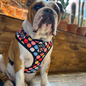 Adjustable Harness – Be Happy - Charity Collection