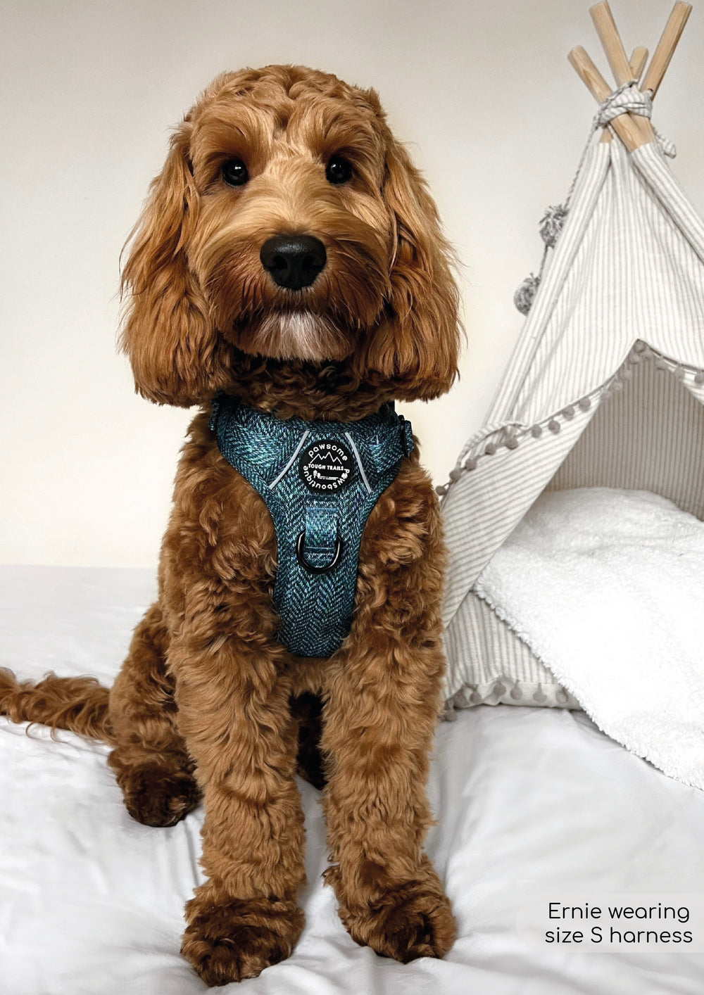 Tough Trails™ Harness - Country Teal
