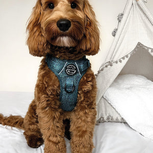 Tough Trails™ Harness - Country Teal