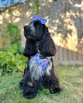 Bow Tie - Tiny Diny