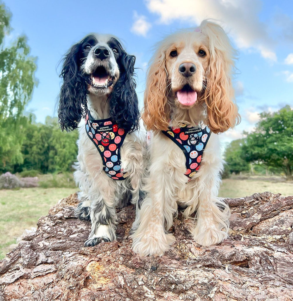 Adjustable Harness – Be Happy - Charity Collection