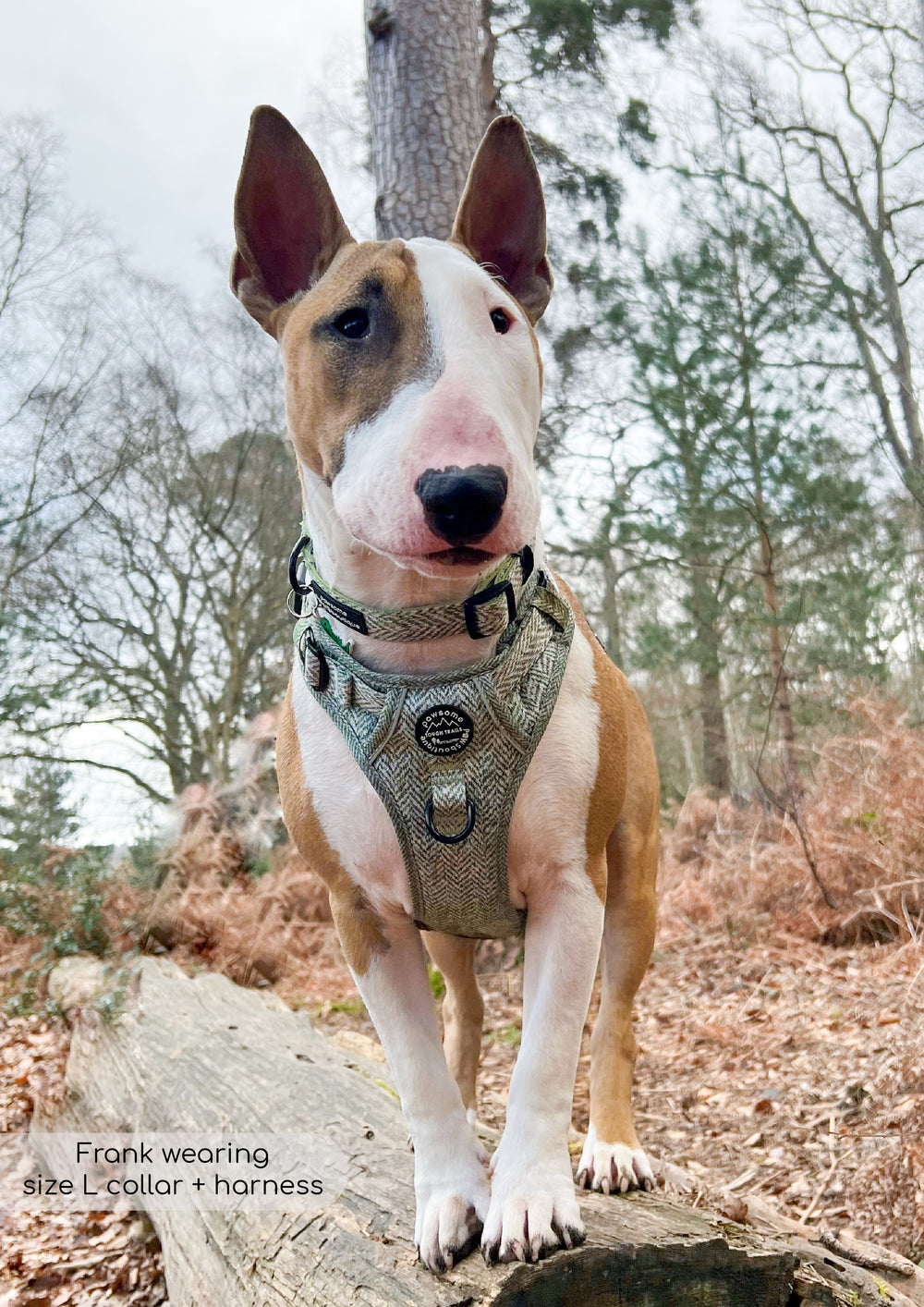 Tough Trails™ Harness - Country Thyme