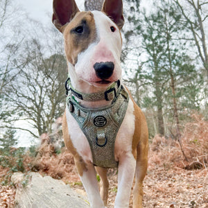 Tough Trails™ Harness - Country Thyme