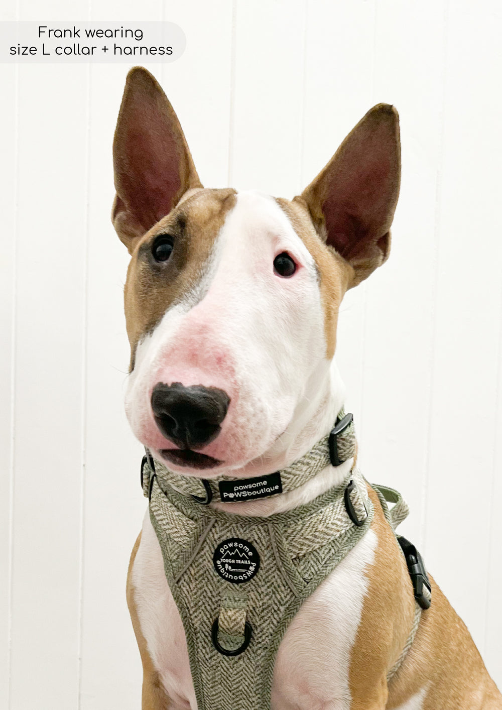 Collar - Country Thyme