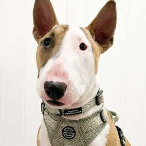 Collar - Country Thyme