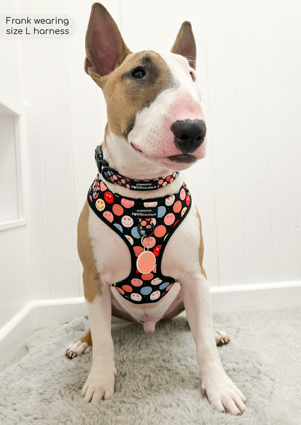 Adjustable Harness – Be Happy - Charity Collection