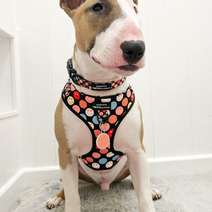 Adjustable Harness – Be Happy - Charity Collection