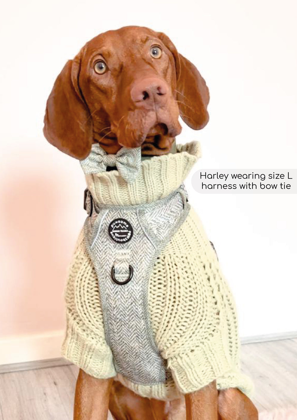 Bow Tie - Country Thyme