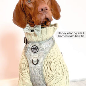 Bow Tie - Country Thyme