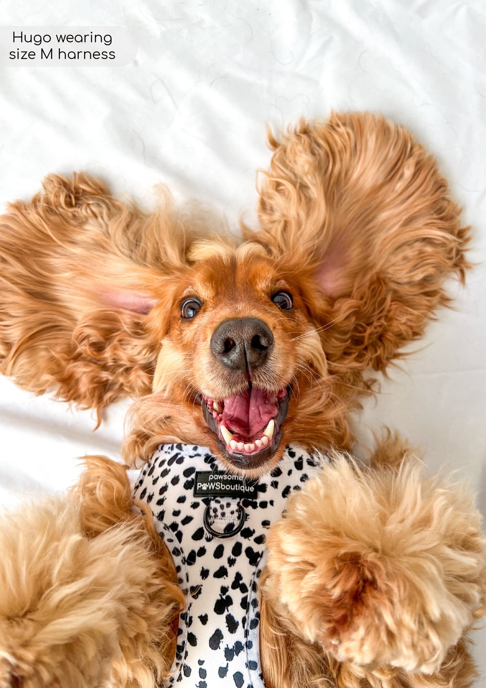 Adjustable Harness – Perdita