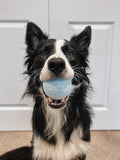 PPB Tennis Ball - Blue