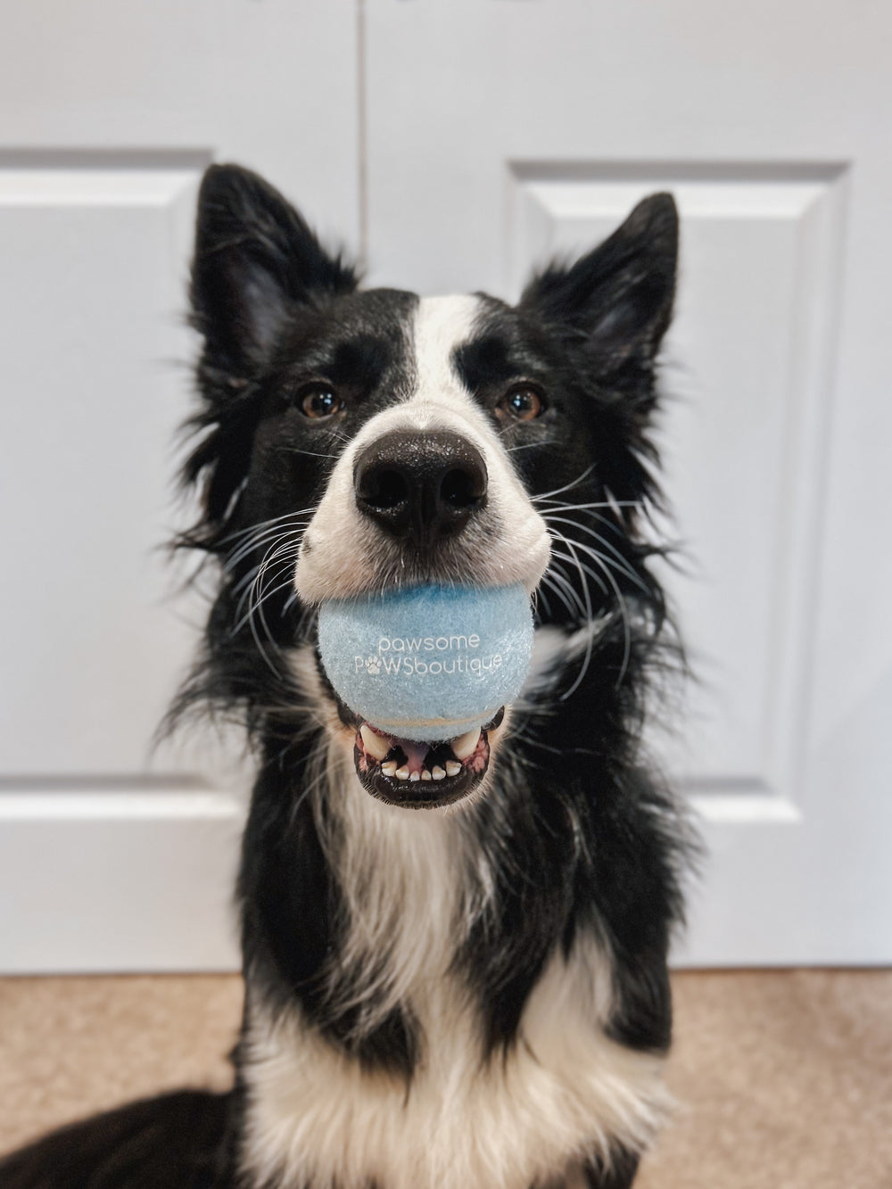 PPB Tennis Ball - Blue