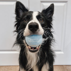 PPB Tennis Ball - Blue