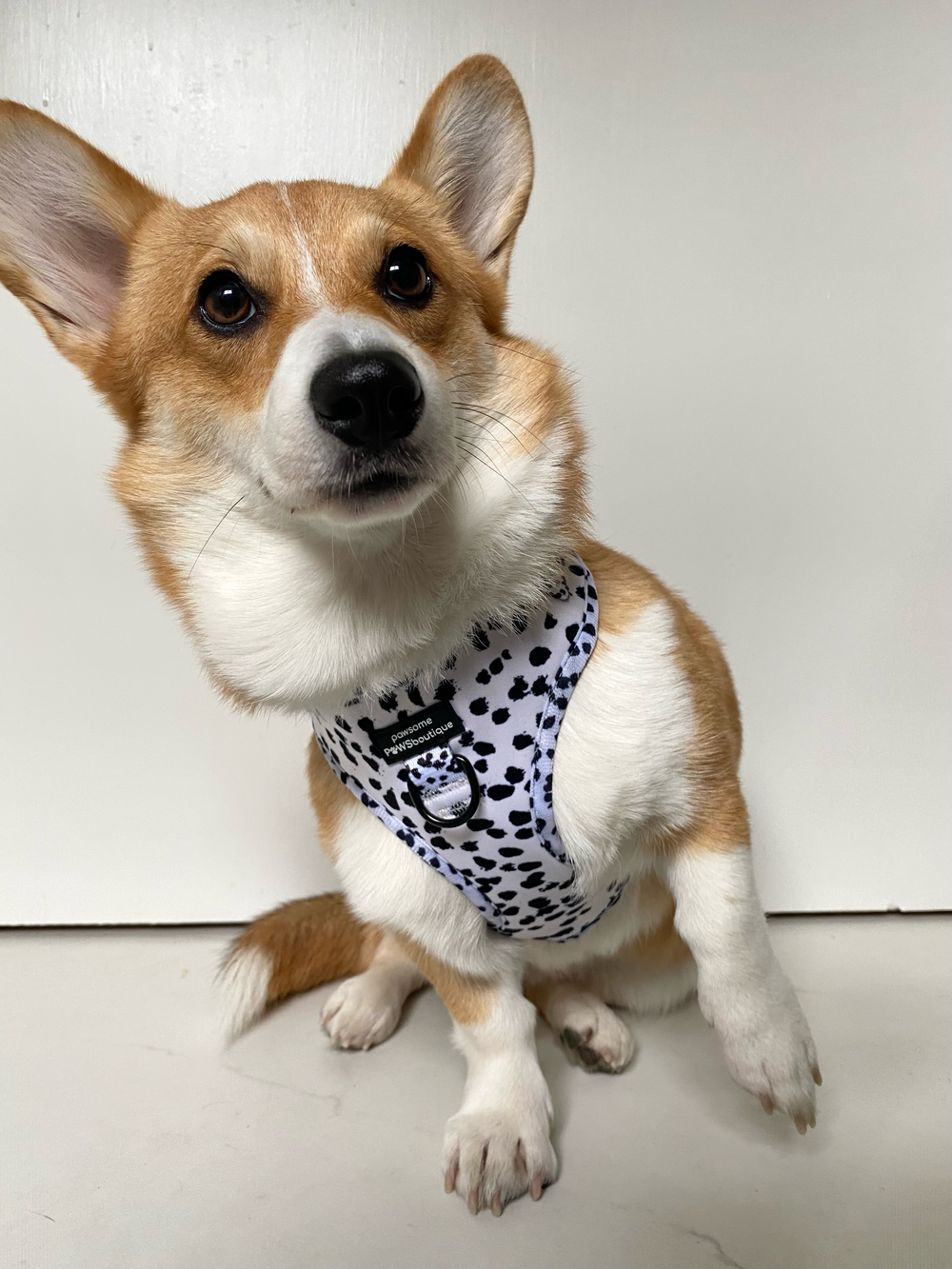 Adjustable Harness – Perdita