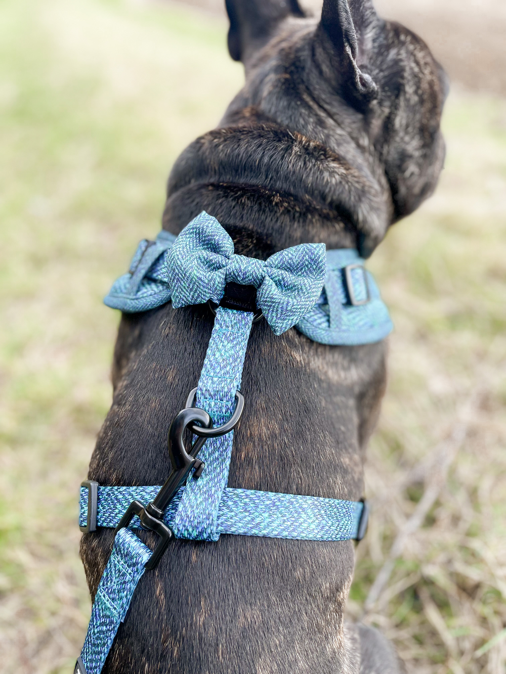 Bow Tie - Country Teal