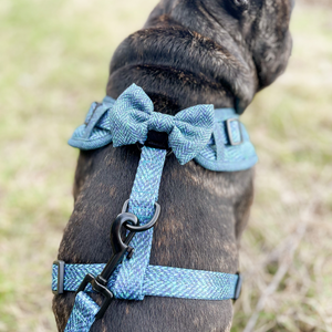 Bow Tie - Country Teal
