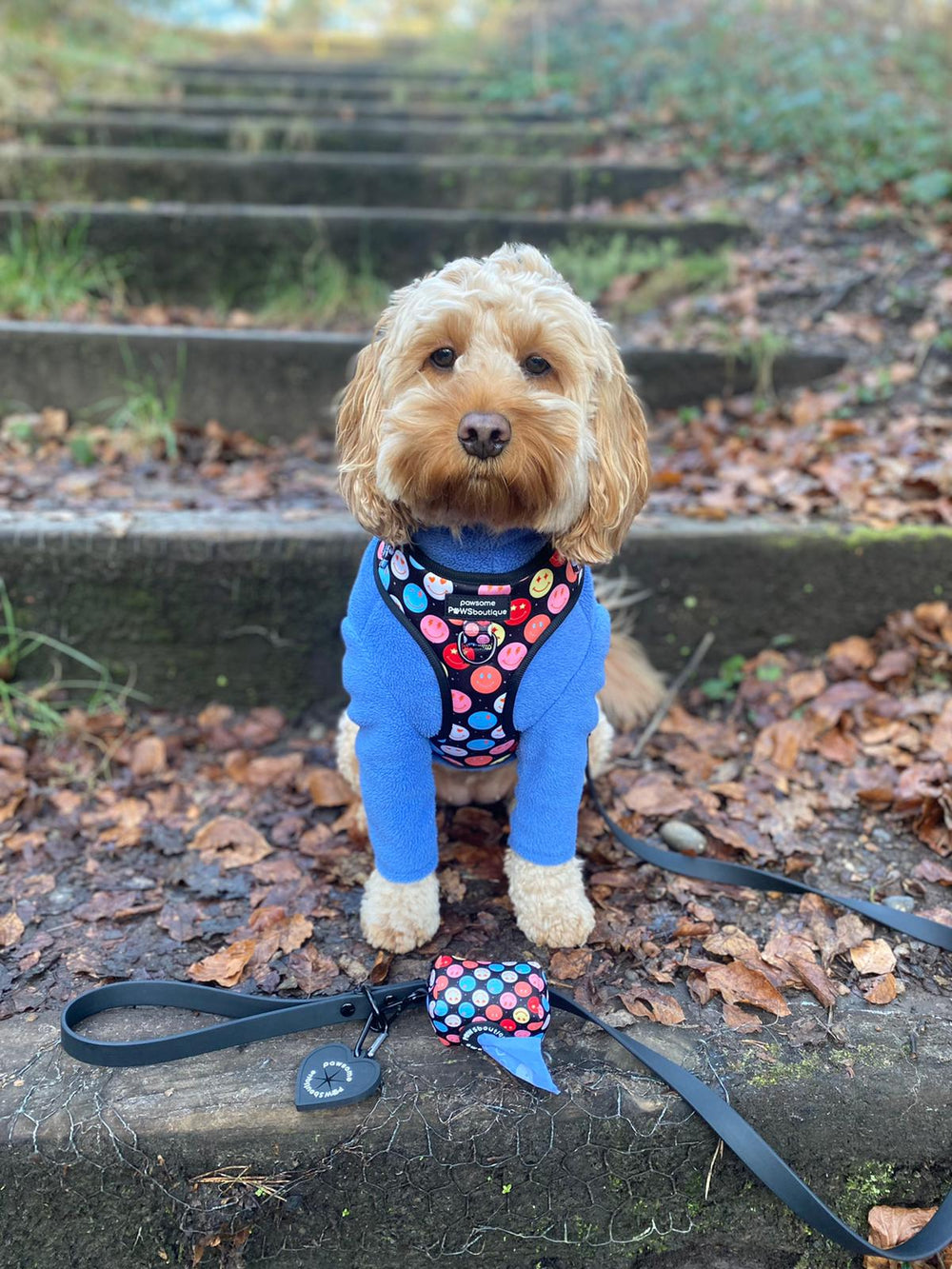 Adjustable Harness – Be Happy - Charity Collection