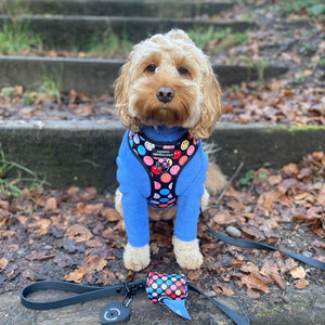 Adjustable Harness – Be Happy - Charity Collection