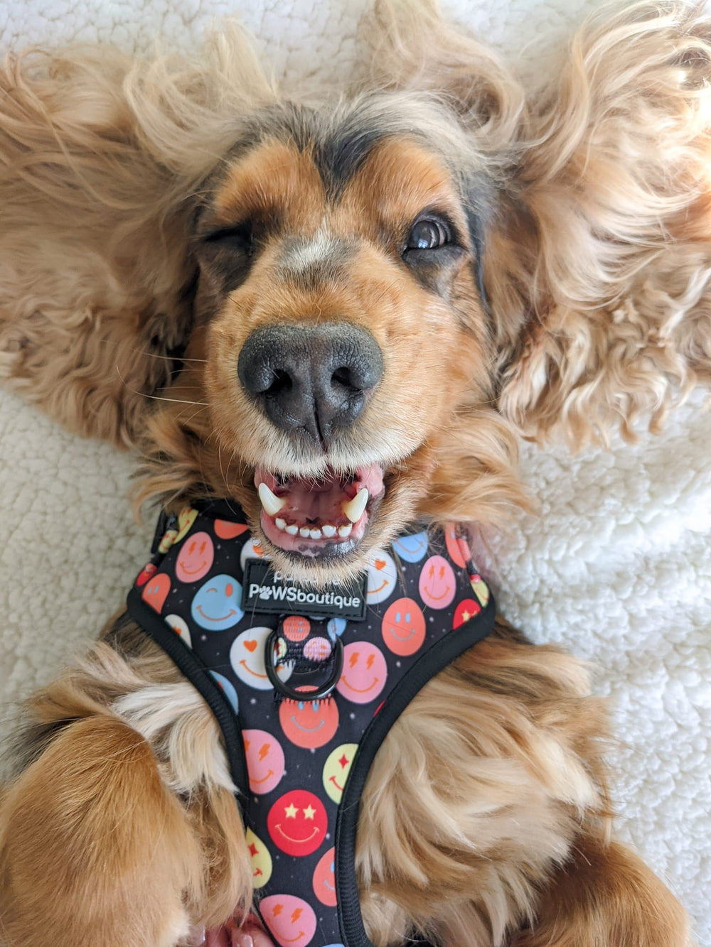 Adjustable Harness – Be Happy - Charity Collection