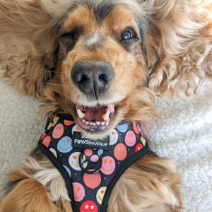 Adjustable Harness – Be Happy - Charity Collection