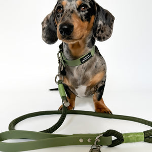 4ft Rope Lead - Khaki