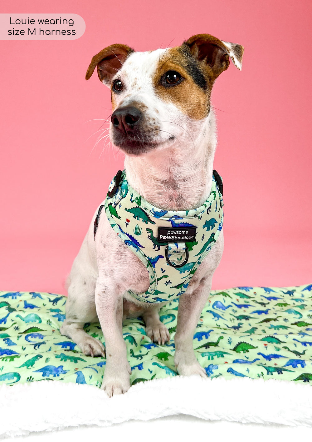 Dog Blanket - Dinky Dino