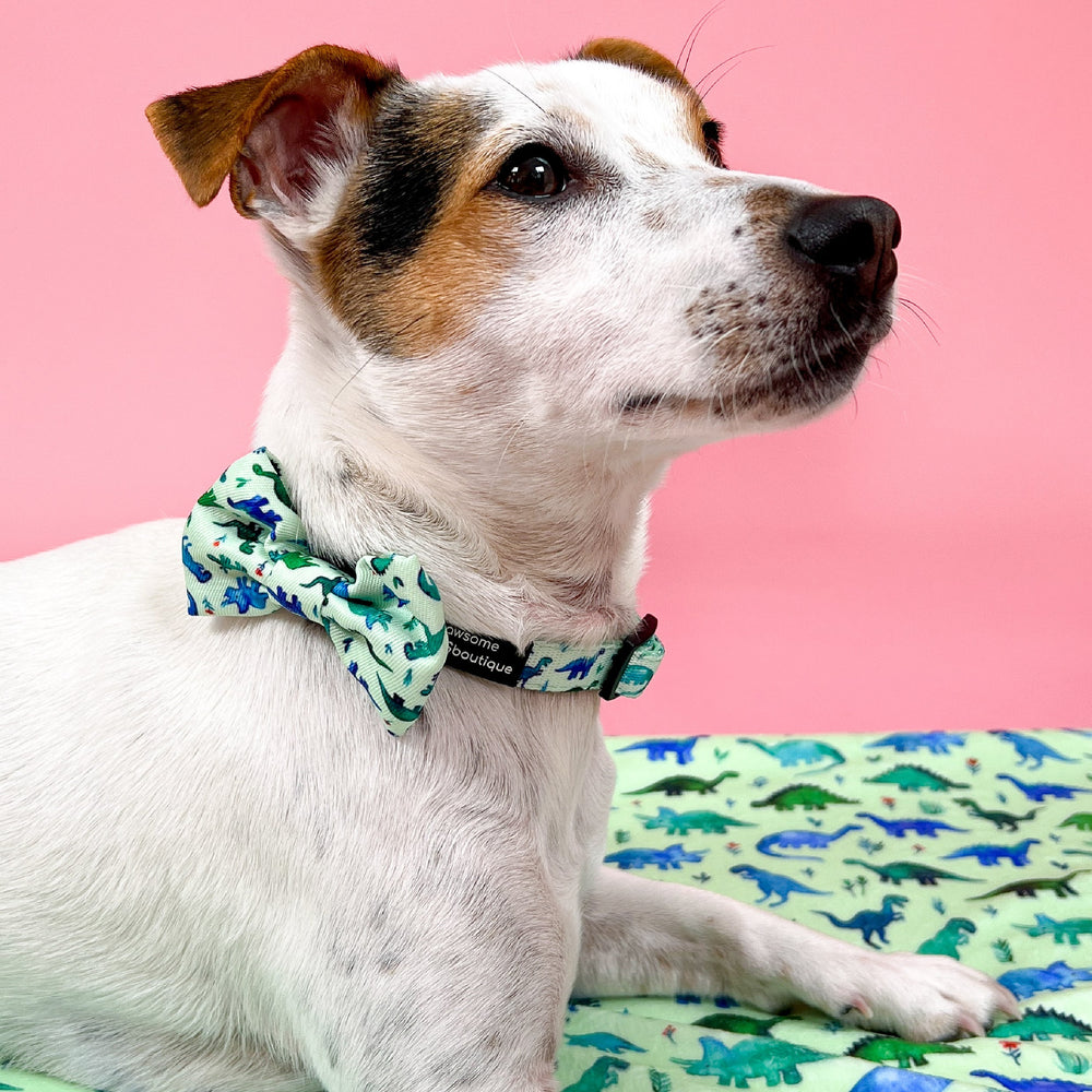 Bow Tie - Dinky Dino