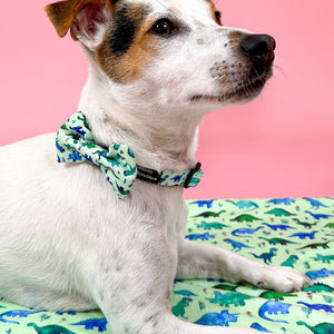 Dog Blanket - Dinky Dino