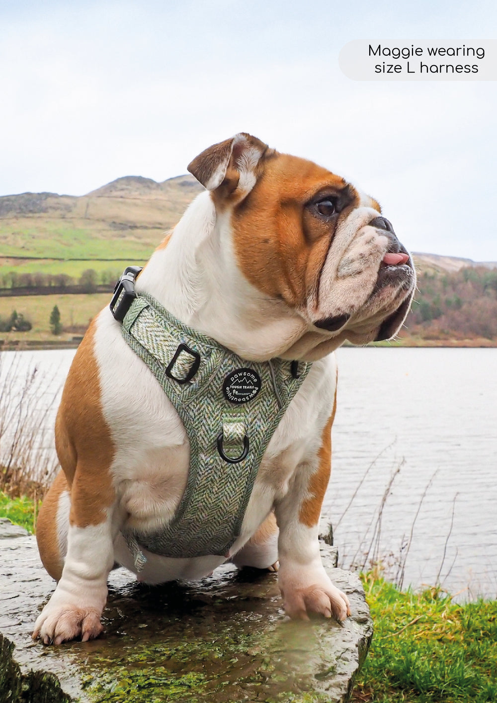 Tough Trails™ Harness - Country Thyme