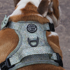 Tough Trails™ Harness - Country Thyme