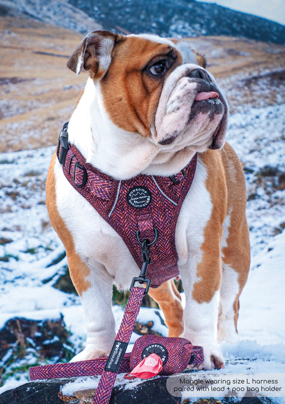Poo Bag Holder - Country Burgundy