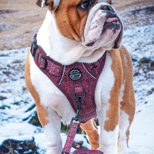 Poo Bag Holder - Country Burgundy