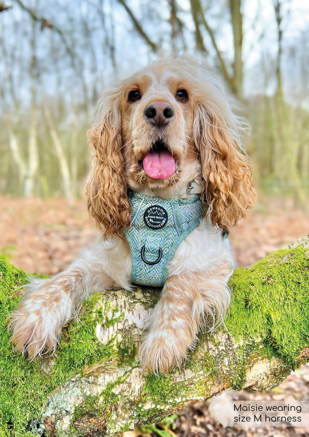 Tough Trails™ Harness - Country Thyme