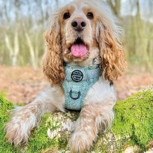 Tough Trails™ Harness - Country Thyme