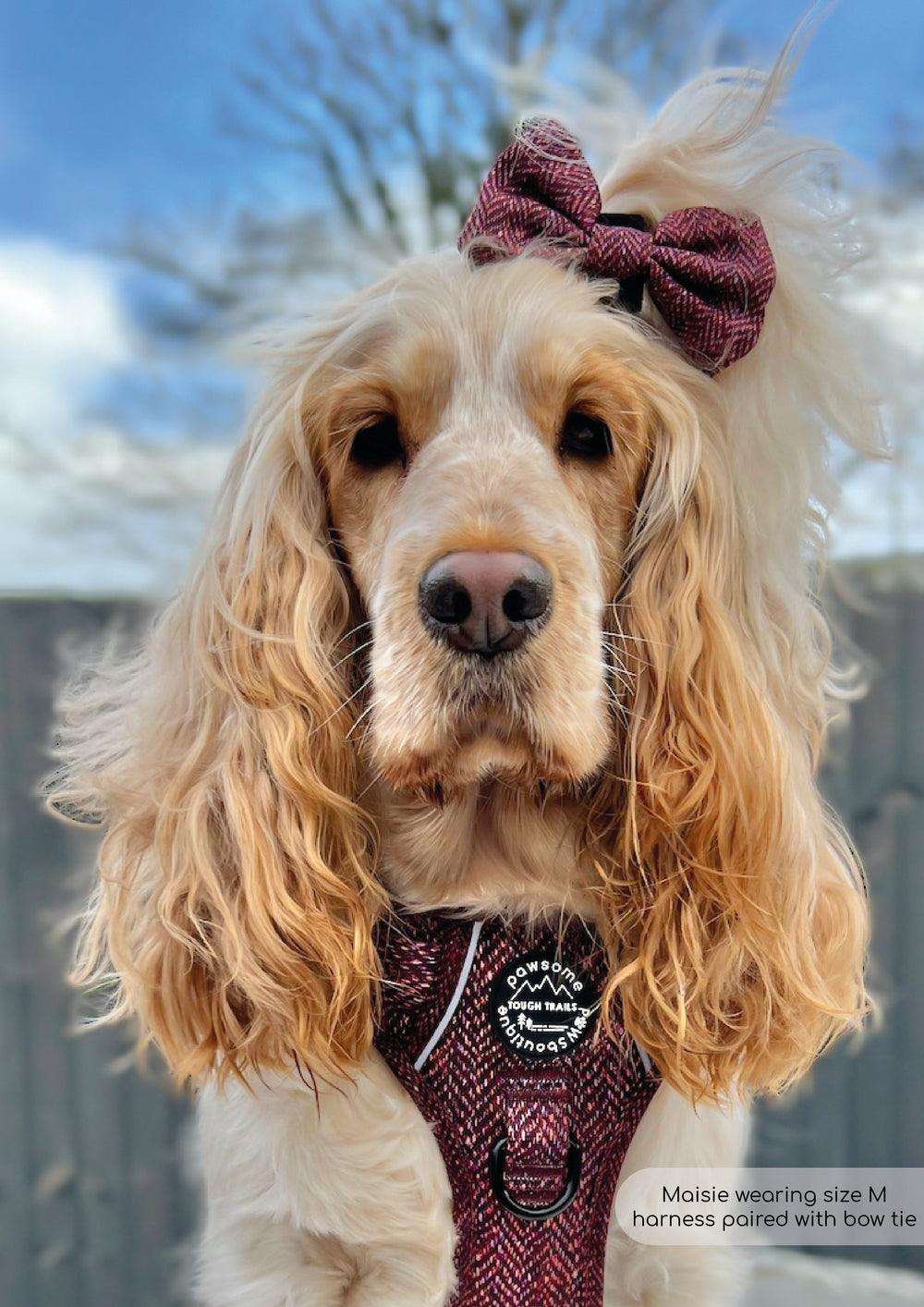 Bow Tie - Country Burgundy