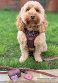 Poo Bag Holder - Country Burgundy